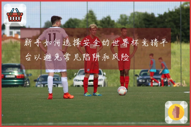 新手如何选择安全的世界杯竞猜平台以避免常见陷阱和风险