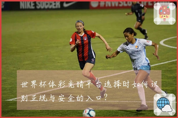 世界杯体彩竞猜平台选择时如何识别正规与安全的入口?