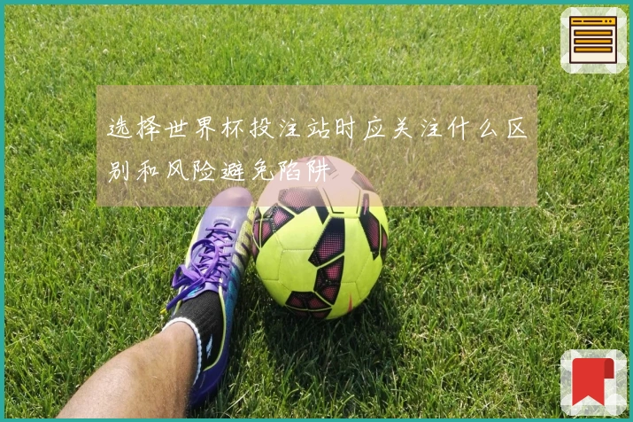 选择世界杯投注站时应关注什么区别和风险避免陷阱